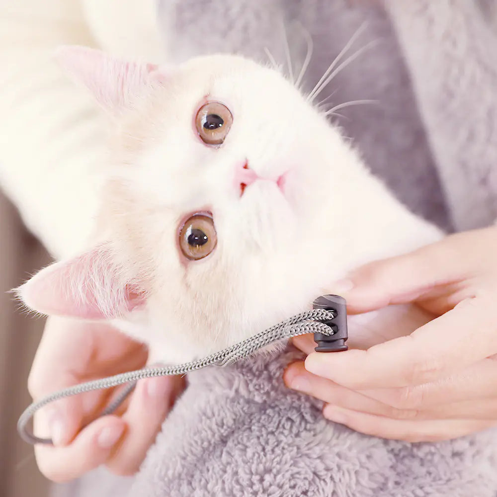 Sac à Dos de Transport pour Chien & Chat